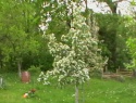 IMGA0916.JPG