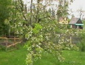 IMGA0922.JPG