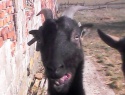 IMG0042A.jpg