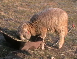 IMGA0300.JPG