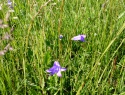 PTDC0086.JPG