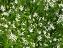 IMGA0906.JPG