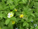 IMGA0926.JPG