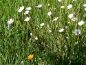 PTDC0079.JPG