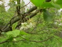 IMGA0907.JPG