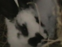 IMGA0715.JPG