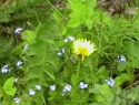 IMGA0909.JPG