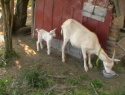 IMGA0702.JPG