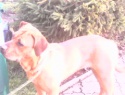 IMG0058A.jpg