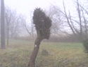 IMG0038A.jpg