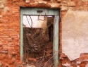 IMG0021B.jpg
