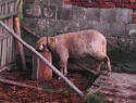 IMG00057.jpg