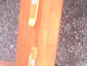 IMG0146A.jpg