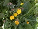 IMGA0943.JPG