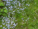 IMGA0920.JPG