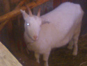 WP_000010.jpg