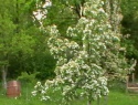 IMGA0915.JPG