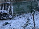 IMGA0480.JPG