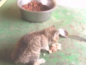 IMG0160A.jpg