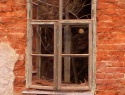 IMG0022B.jpg