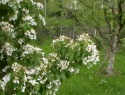 IMGA0917.JPG