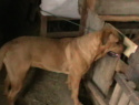 IMGA0138.JPG