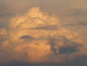 IMGA0974.JPG