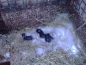 PIC_0032.JPG