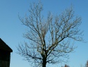 PTDC0082.JPG