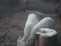 IMG0009A.jpg