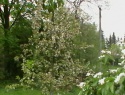 IMGA0918.JPG