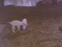 WP_000150.jpg