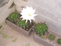 000_2861.JPG