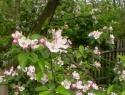 IMGA0912.JPG