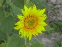 IMGA0726.JPG