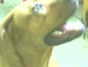 IMG0054A.jpg