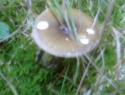 PIC_0109.JPG