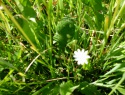 PTDC0087.JPG