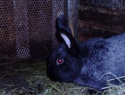 PIC_0003.JPG