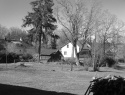 PIC_0043.JPG