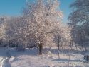 WP_000014.jpg