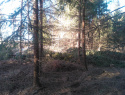 WP_000127.jpg