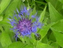 IMGA0924.JPG