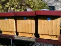 PTDC0119.JPG