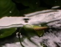 IMGA0014.JPG