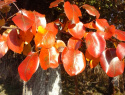 20181013_083815.jpg