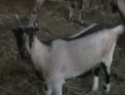 IMGA0044.JPG