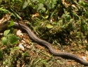 IMGA0236.JPG