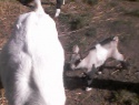 IMG0035A.jpg