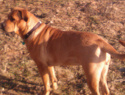 WP_000073.jpg